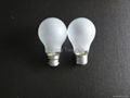 A19 100W Clear Bulb 2