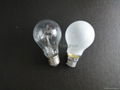 A19 100W Clear Bulb 3