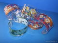 Acrylic bangle, Bracelet (fashion)