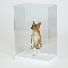 acrylic display case,acrylic display box