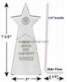 acrylic  award-logo engraving