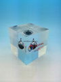 Acrylic embedmnet gifts,Corporation Souvenir Gifts