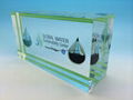 acrylic embedment,Corporation Souvenir Gifts, Corporation Souvenir Gifts