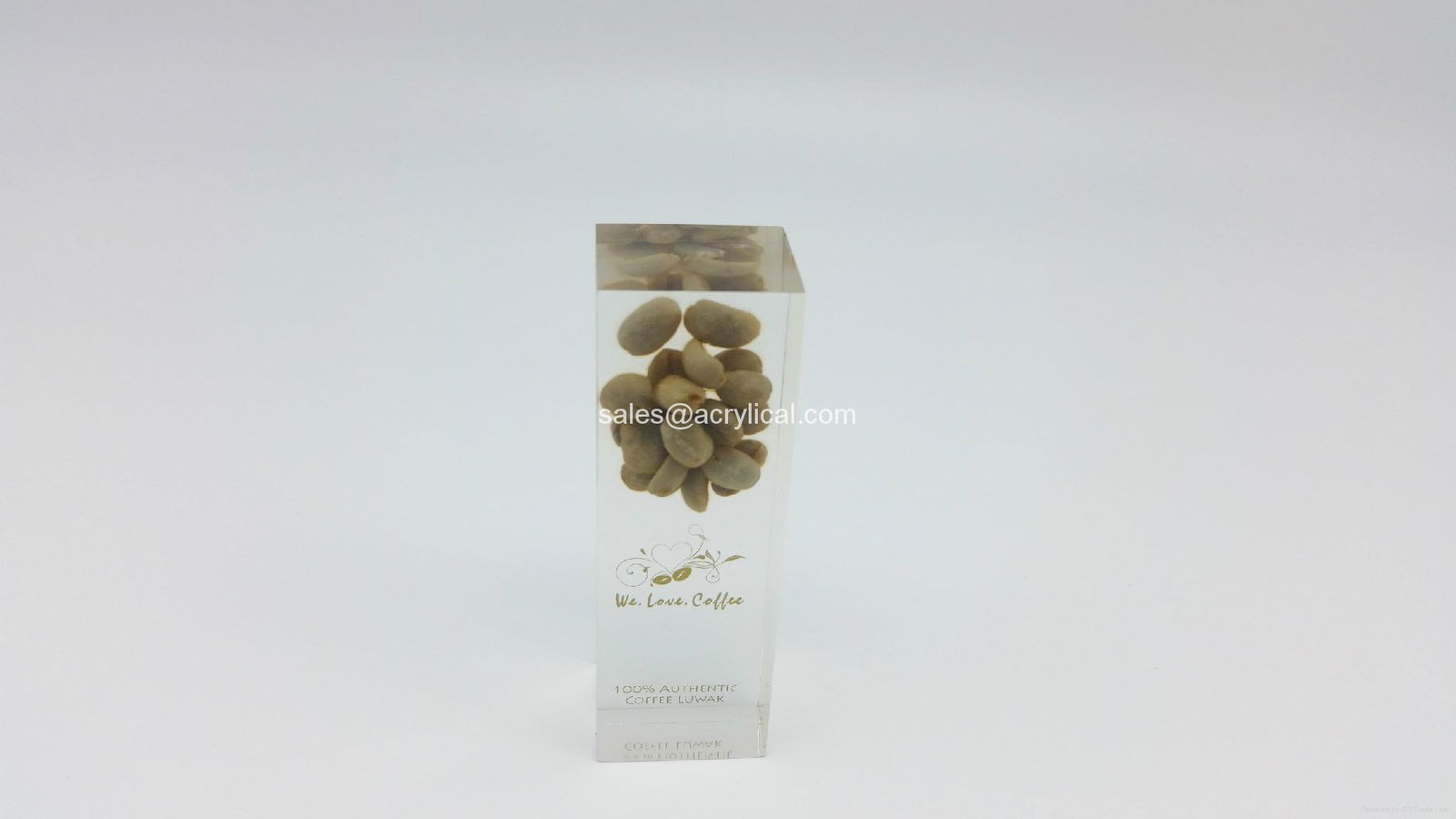 Acrylic Embedment,Acrylic Embedment Awards,Promotional Awards & Products,gifts,  corporation gifts, acrylic embedment award,Lucite Embedments,Acrylic Embedment-Corporation gifts,Promotion gifts,acrylic logo block