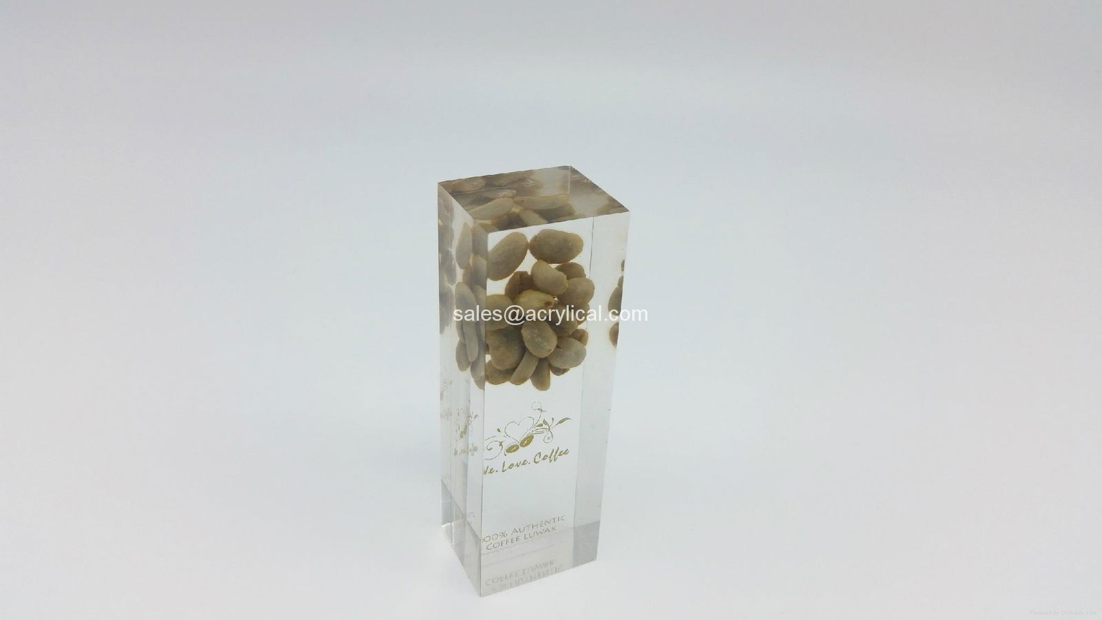 Acrylic Embedment,Acrylic Embedment Awards,Promotional Awards & Products,gifts,  corporation gifts, acrylic embedment award,Lucite Embedments,Acrylic Embedment-Corporation gifts,Promotion gifts,acrylic logo block