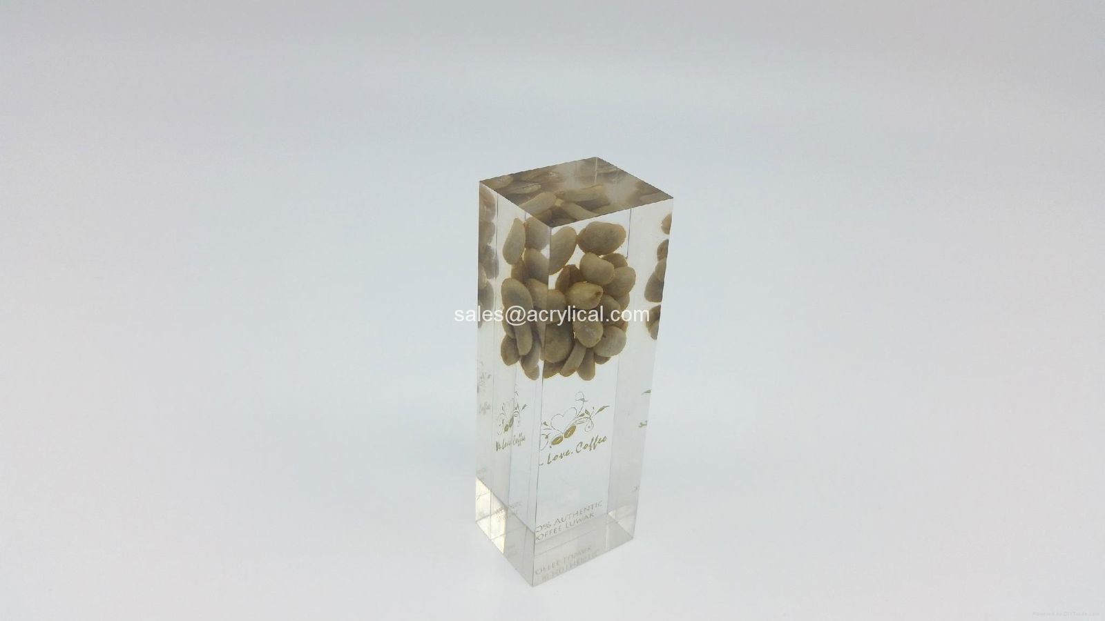 Acrylic Embedment,Acrylic Embedment Awards,Promotional Awards & Products,gifts,  corporation gifts, acrylic embedment award,Lucite Embedments,Acrylic Embedment-Corporation gifts,Promotion gifts,acrylic logo block