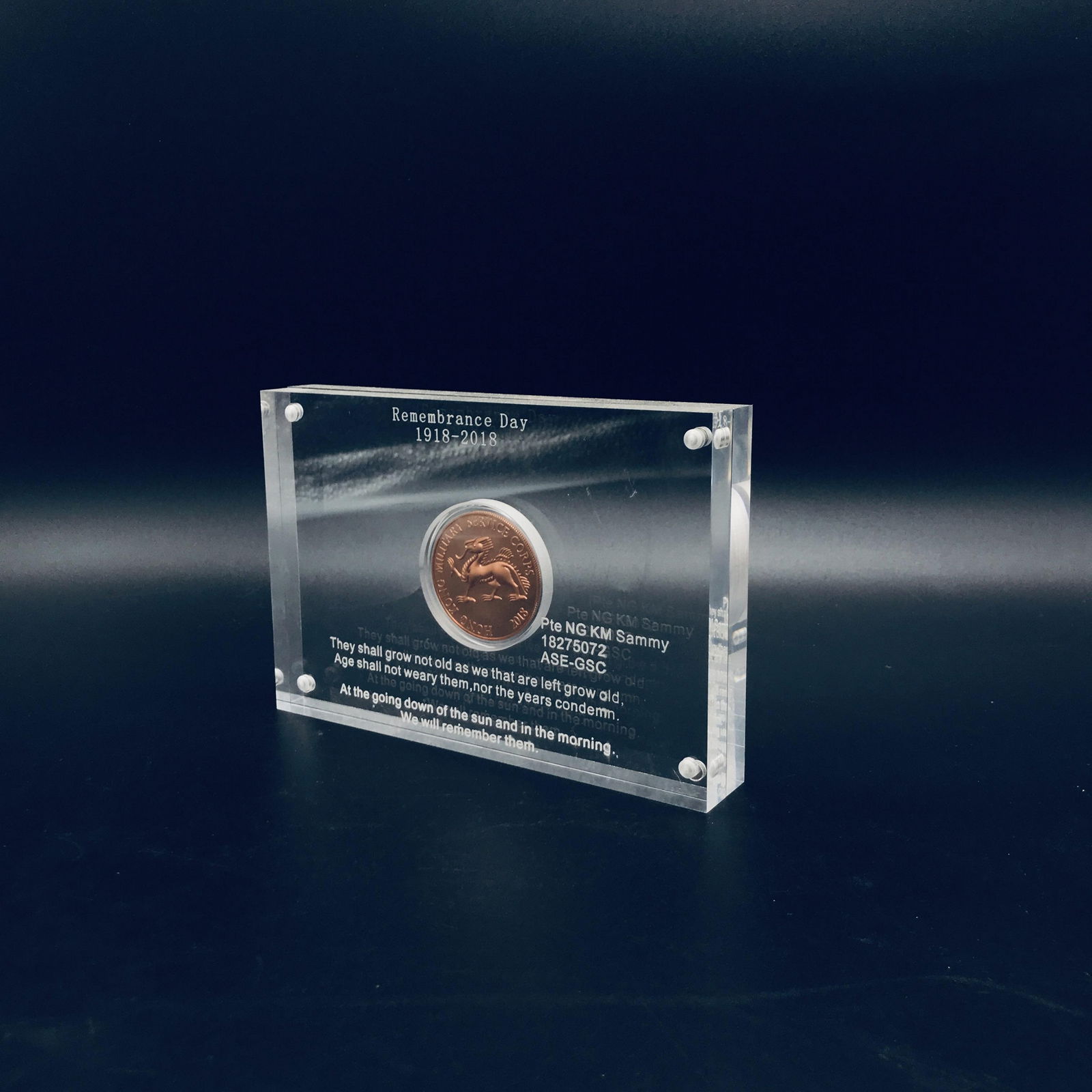 Acrylic coin award,Custom Acrylic Coin Sandwich Award