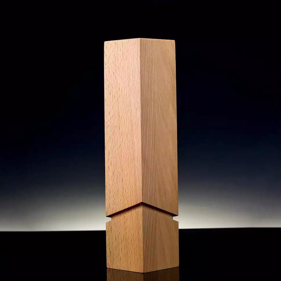 Wooden Awards | Trophy design, Wooden award 5