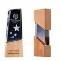 Wooden Awards | Trophy design, Wooden award