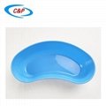Kidney Dish, Blue