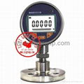 Digital Pressure Gauge  NEW 2020 1