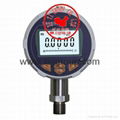 Battery Supply Digital Pressure Gauge 4