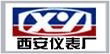 Xiyi Group Co., Ltd.