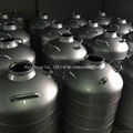 New 30L Cryogenic Container Liquid Nitrogen LN2 Dewar Tank w/ Straps