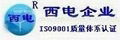 201强碱性苯乙烯系阴离子交换树脂