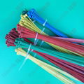 Nylon cable ties 4