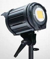 LED light 60W