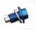 Magnetic Steel oil drain screw