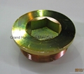 Socket Steel Oil Drain Screw 4