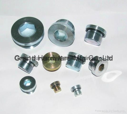 hydraulic hex socket plugs 4