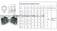 美製SAE Thread 1-5/16"-12UN-2A高壓高溫油液位視鏡