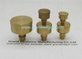 Nut Type brass Grease Cup 2