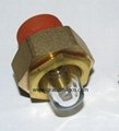 散热器半球圆型铜视镜NPT1/2" 