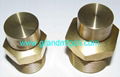 REDUCER BRASS BREATHER VENT PLUG