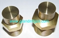 NPT1" BRASS BREATHER VENT PLUG