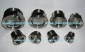 STAINLESS STEEL SS304 NPT OIL SIGHT GLASS