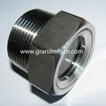 STAINLESS STEEL SS304 NPT OIL SIGHT GLASS