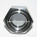 STAINLESS STEEL SS304 NPT OIL SIGHT GLASS