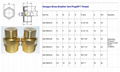 NPT1 INCH BRASS BREATHER VENT PLUG