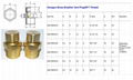BSP BRASS AIR VENT BREATHER PARTS