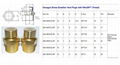 BSP BRASS BREATHER VENT PLUGS CATALOGUE