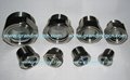 Fire protection system SS316 stainless steel sight glass plug NPT2" 8