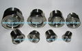 Fire protection system SS316 stainless steel sight glass plug NPT2"