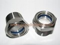 Domed Safety Sight Glass Assembly - Threaded  NPT1/2"