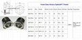 Radiator Coolant Surge Tanks check level sight glass gauge 19