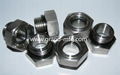 STAINLESS STEEL SUS NPT OIL SIGHT GLASS