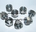 STAINLESS STEEL SIGHT GLASS