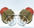 GM-HDM16  Brass Bubble Sight Plugs dome