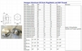 Gear Unit aluminum drain screw plug BSP thread and Metric thread