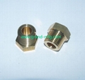 NPT Hexagon Brass plugs for radiator and hydraulic systerms 1