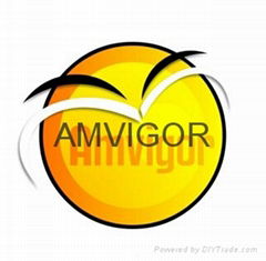 AMVIGOR INT'L LIMITED