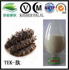 Sea cucumber intestinal peptide