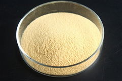 Rice oligopeptide