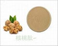 Shandong Zhongshi Duqing Walnut Peptide