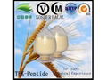 WHEAT PEPTIDES 4