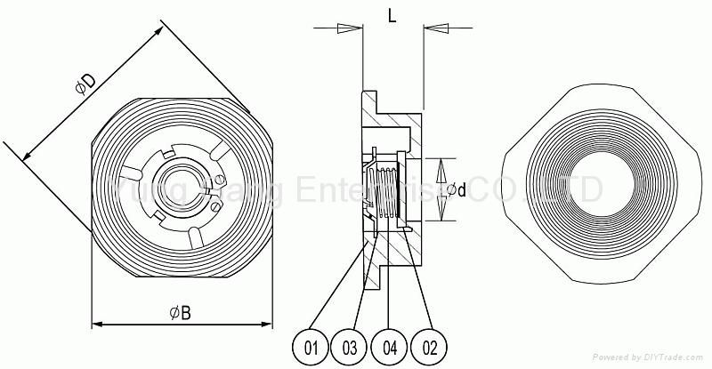 Spring Loaded Wafer check valve (no seat) 2